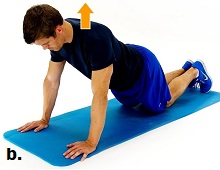 Advanced Scapular Stabilization Exercises: Modified Plank B Advanced Scapular Stabilization Exercises: Modified Plank B