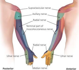 Arm Nerve Pain: Causes, Symptoms & Treatment