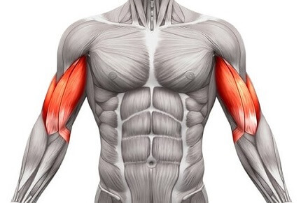 Biceps Stretch 6 Easy Ways To Stretch Your Biceps Shoulder Pain Exp