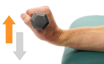 Carpal Boss Wrist Strengthening Exercise: Improve wrist extensor and flexor strength with these exercises Carpal Boss Wrist Strengthening Exercise: Improve wrist extensor and flexor strength with these exercises
