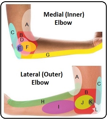 Shoulder Pain Diagnosis Chart, SPORT Orthopedics