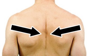 Shoulder Impingement Syndrome Exercises: Scapula Setting Shoulder Impingement Syndrome Exercises: Scapula Setting