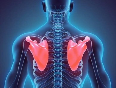 Shoulder Blade Pain Diagnosis: common causes of shoulder blade pain including fractures, trigger points, snapping scapula syndrome and poor posture