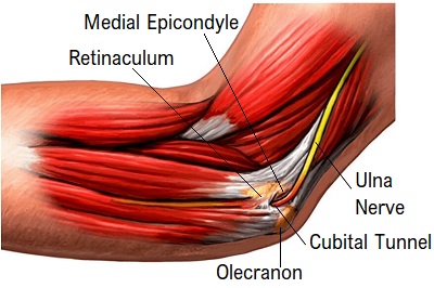 Pain in discount inner elbow